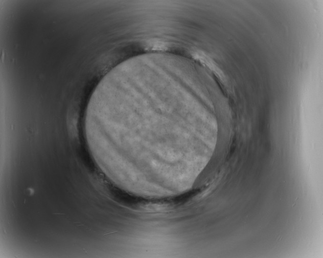 X0000088030209200706081508
