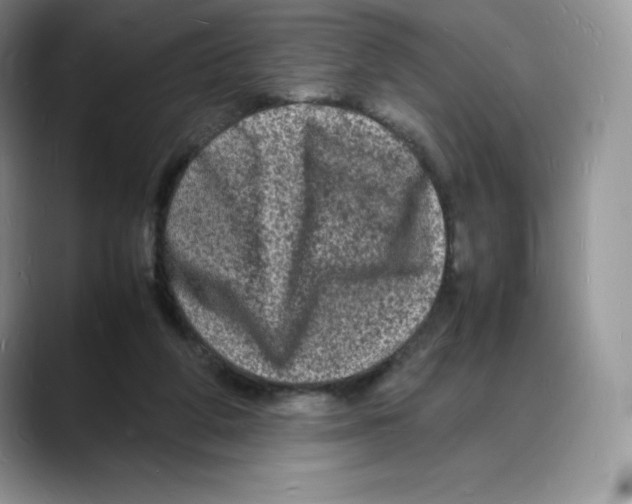X0000088030210200706081508