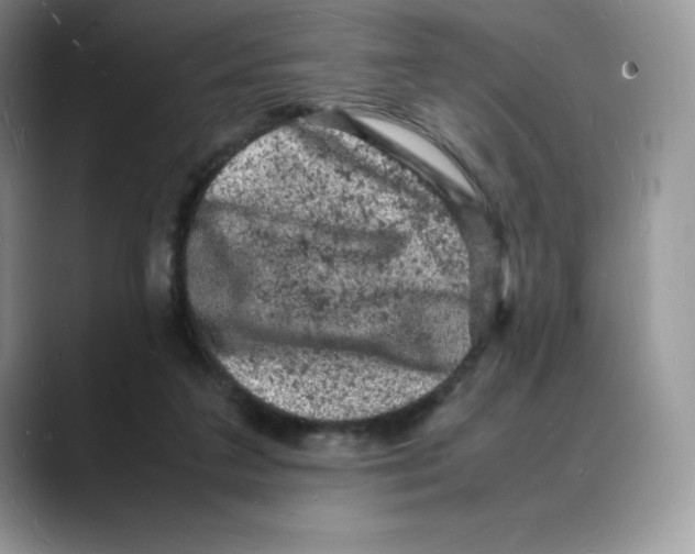 X0000088030211200706081508