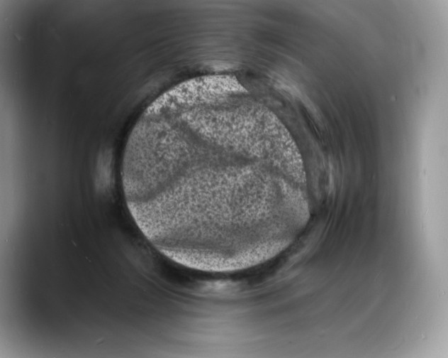 X0000088030212200706081508