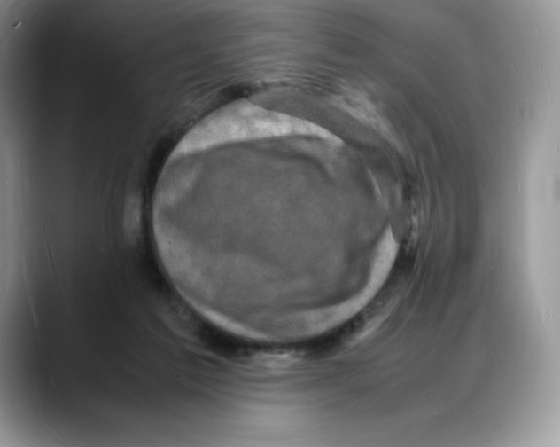 X0000088030213200706081508