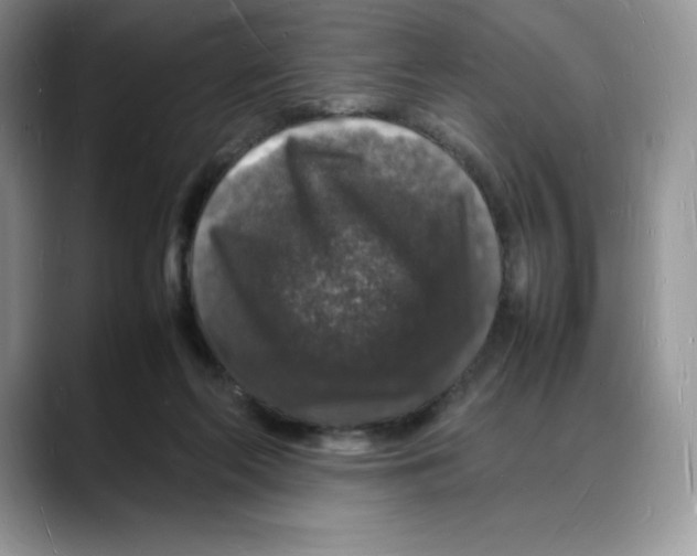 X0000088030214200706081508