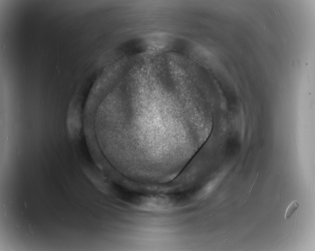 X0000088030215200706081508