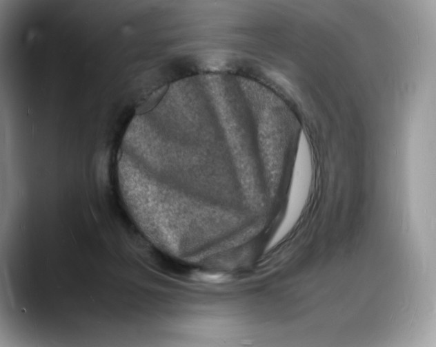 X0000088030217200706081508