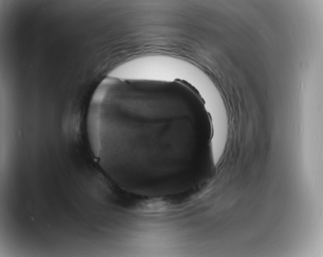 X0000088030219200706081508