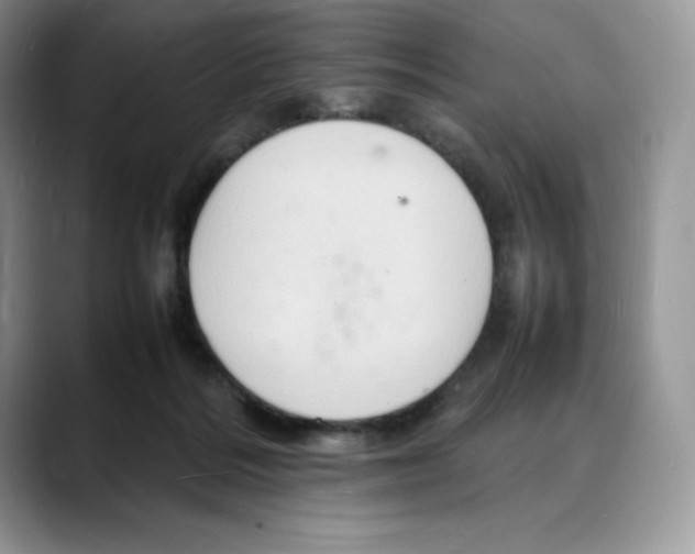 X0000088030220200706081508