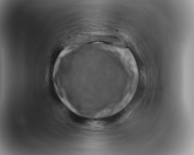 X0000088030221200706081508