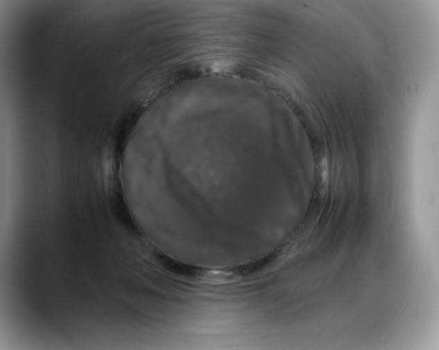 X0000088030222200706081508