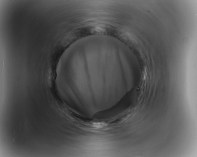 X0000088030223200706081508