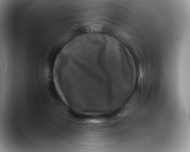 X0000088030224200706081508