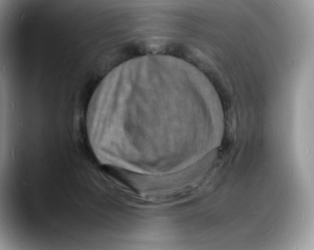 X0000088030225200706081508