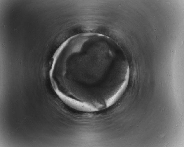 X0000088030227200706081508