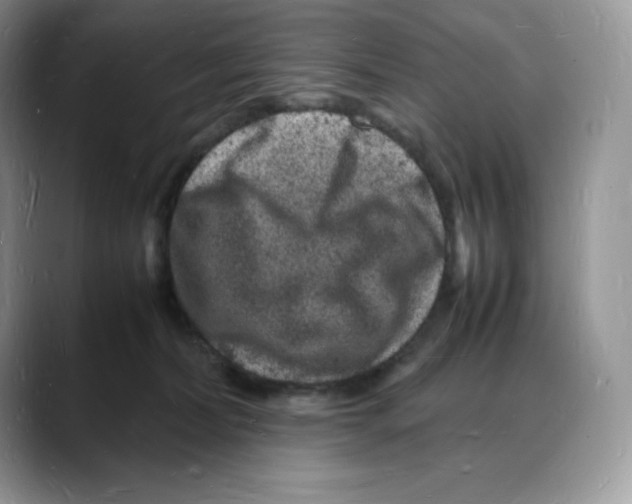 X0000088030228200706081508