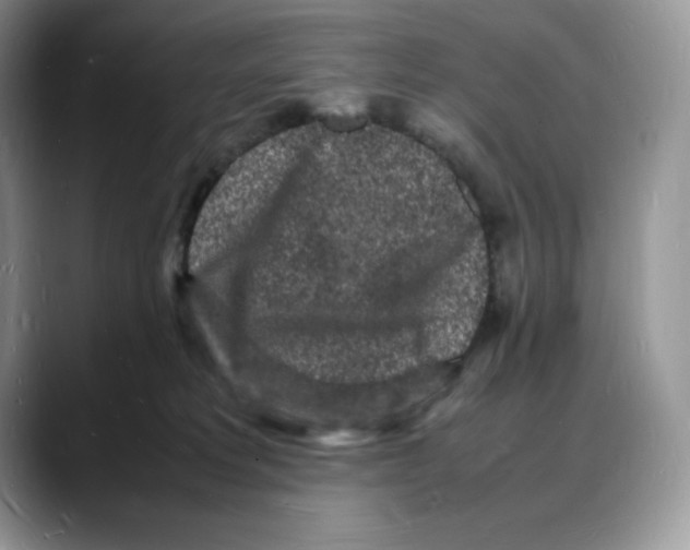 X0000088030229200706081508