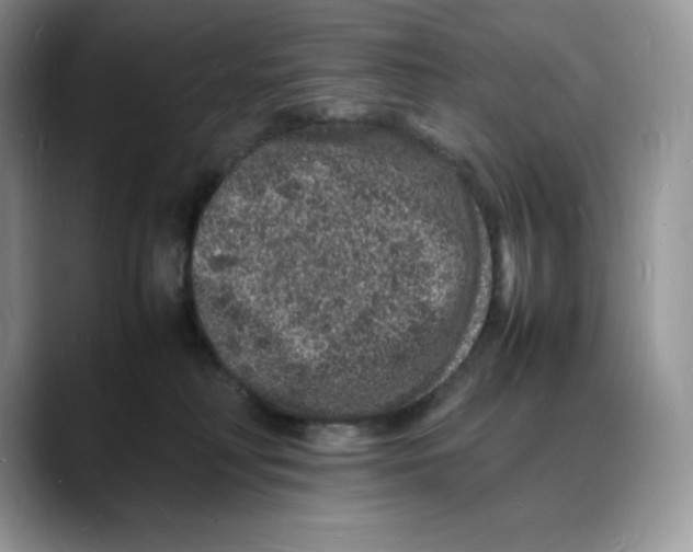 X0000088030230200706081508