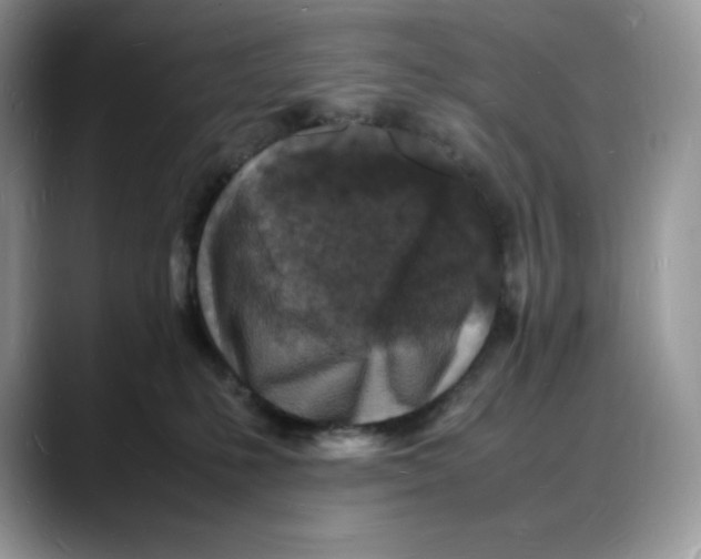 X0000088030231200706081508