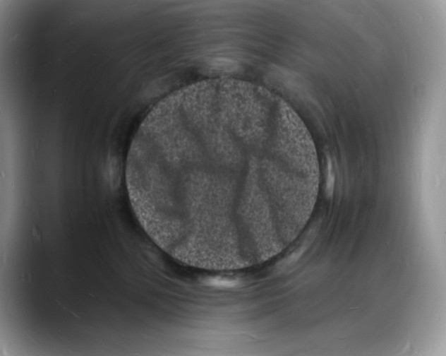 X0000088030232200706081508