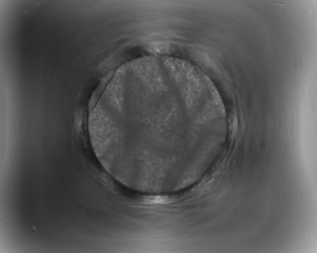 X0000088030233200706081508