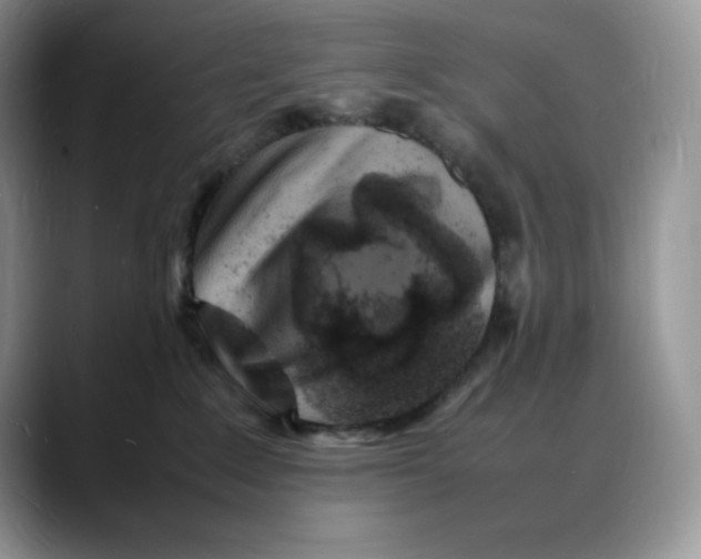 X0000088030235200706081508
