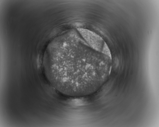 X0000088030236200706081508