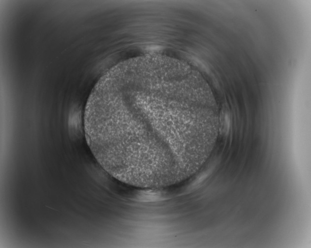 X0000088030238200706081508