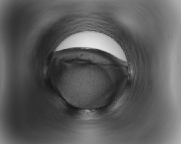 X0000088030239200706081508
