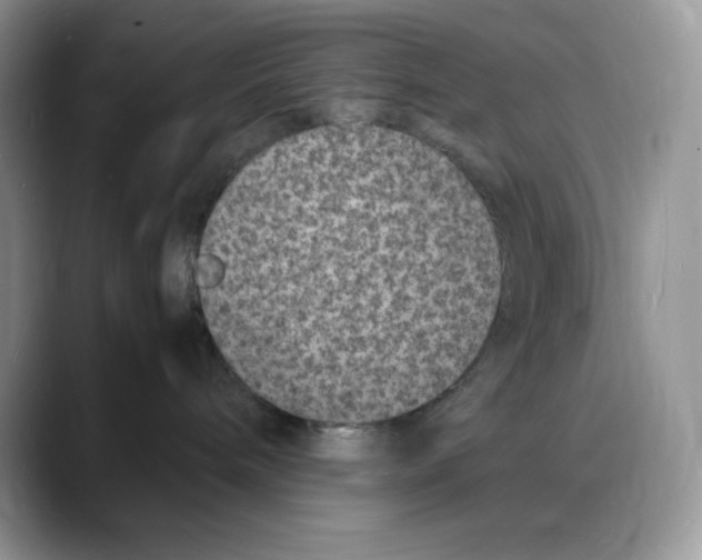 X0000088030240200706081508