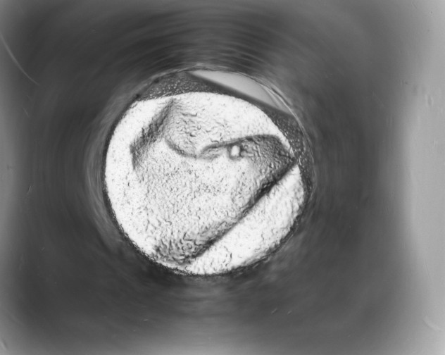 X0000088030241200706081507
