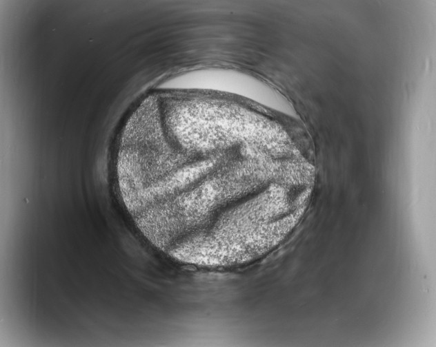 X0000088030242200706081507