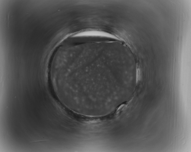 X0000088030243200706081507