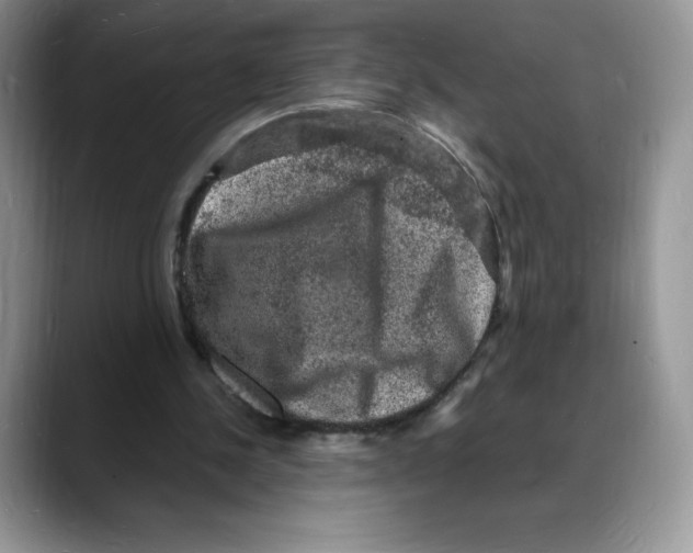 X0000088030244200706081507