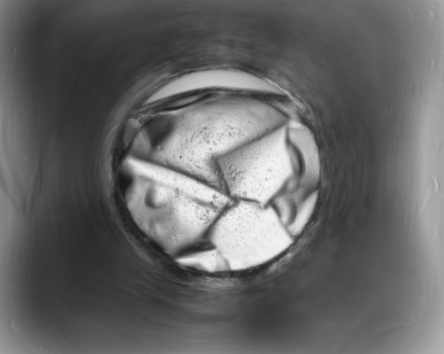 X0000088030245200706081507