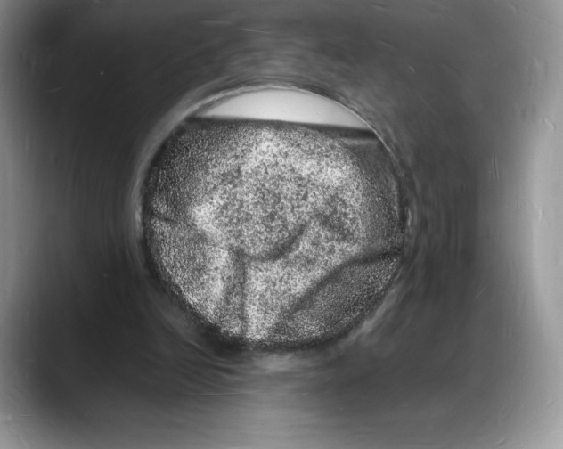 X0000088030246200706081507