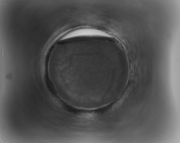 X0000088030247200706081507