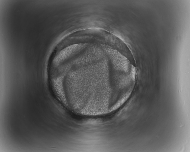 X0000088030248200706081507