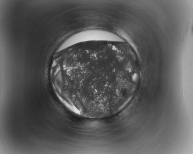 X0000088030249200706081507