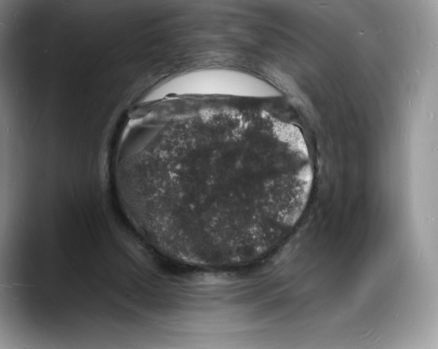X0000088030250200706081507