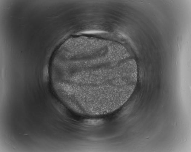 X0000088030251200706081507