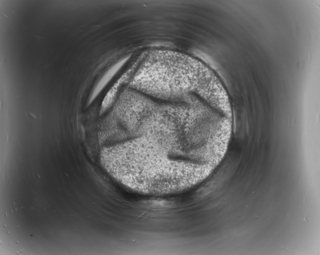 X0000088030253200706081507