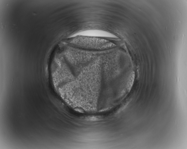 X0000088030254200706081507