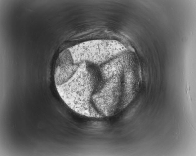 X0000088030255200706081507