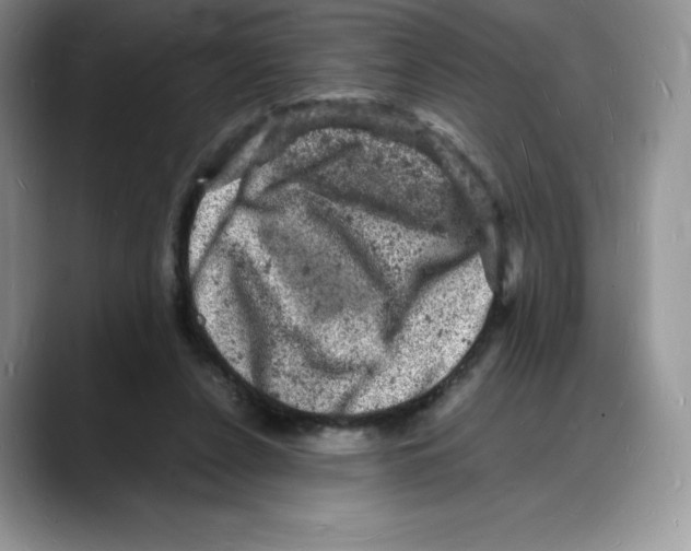 X0000088030256200706081507