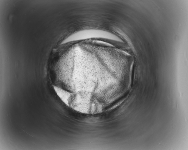 X0000088030257200706081507