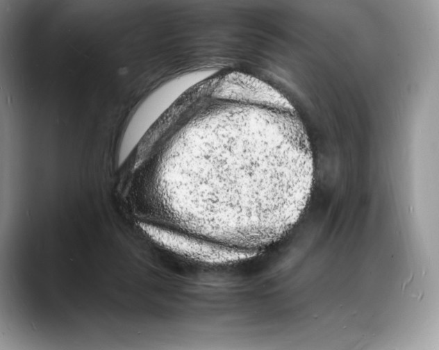 X0000088030259200706081507