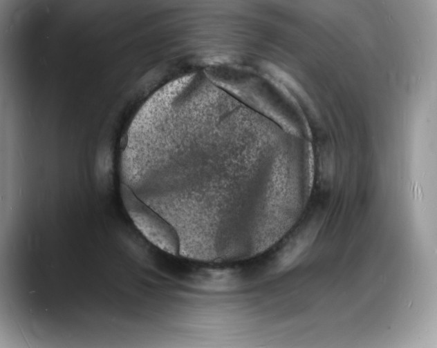 X0000088030260200706081507