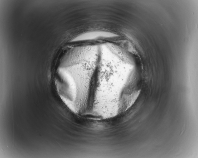 X0000088030261200706081507