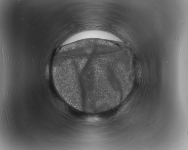 X0000088030262200706081507