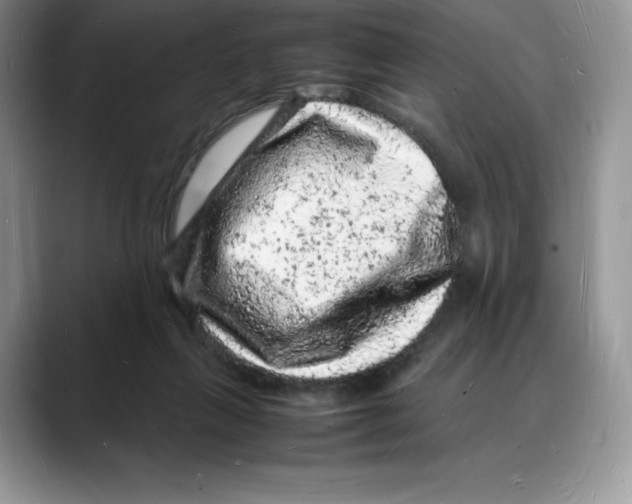 X0000088030263200706081507