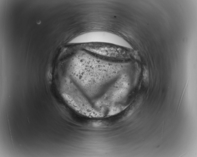 X0000088030264200706081507