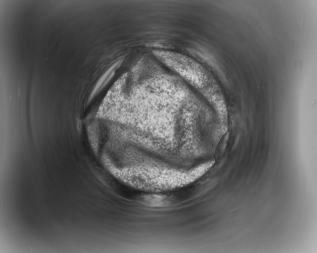 X0000088030265200706081507